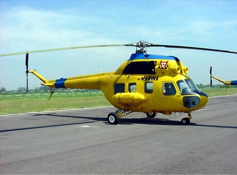 ARM MI-2.jpg